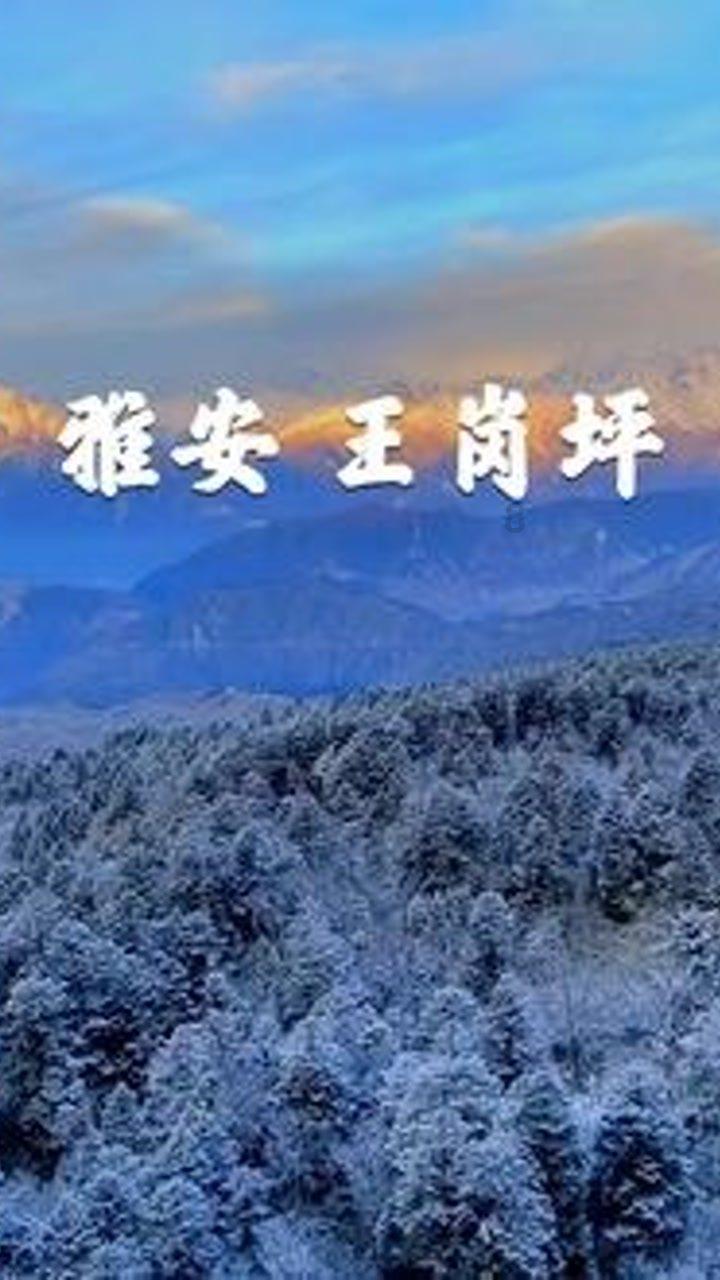 原油多空陷入拉锯战!风险溢价和需求担忧孰能占上风?