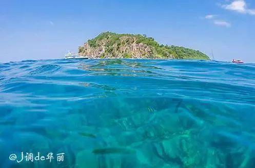 美研究:美国一半租户仍付不起房租 承受严重费用负担