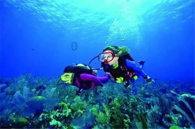 “汉风年 老家过”！又一波新春文旅活动上新，快来嗨玩！