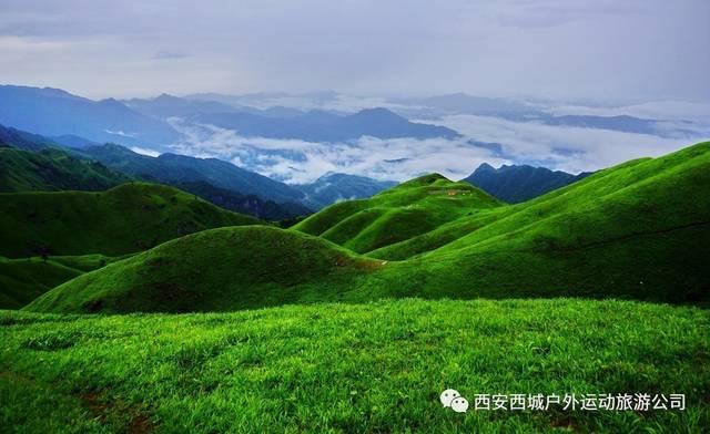 聚创新之心,第二届华西心血管外科论坛在成都召开