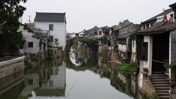 模拟山羊